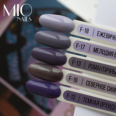 Гель-лак MIO Nails №F-16 Морозное утро 8 мл
