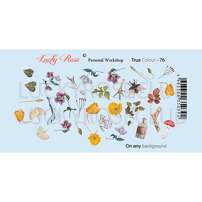 Слайдер-дизайн Lucky Rose True Colour №076