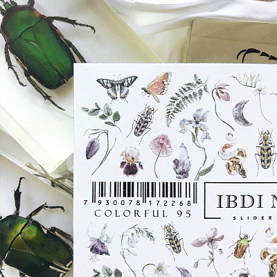 Слайдер-дизайн ibdi COLORFUL №095