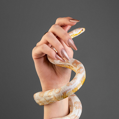 Гель-лак Monami Snake Eye №03 8 г