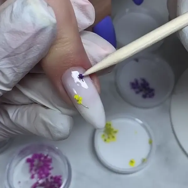 Сухоцветы Любимые цветочки Zoo Nail Art 1678