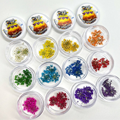 Сухоцветы Любимые цветочки Zoo Nail Art 1678