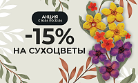 -15% на сухоцветы