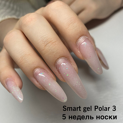 Моделирующий гель Monami Smart Gel Polar №03 15 г