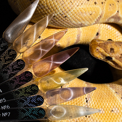 Гель-лак Monami Snake Eye №05 8 г